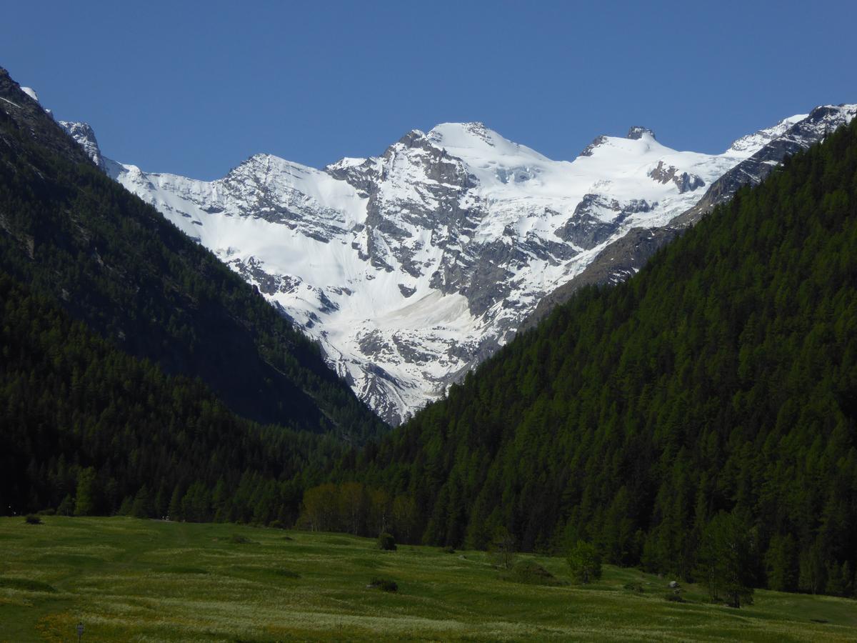 Hotel Locanda Grauson Cogne Kültér fotó