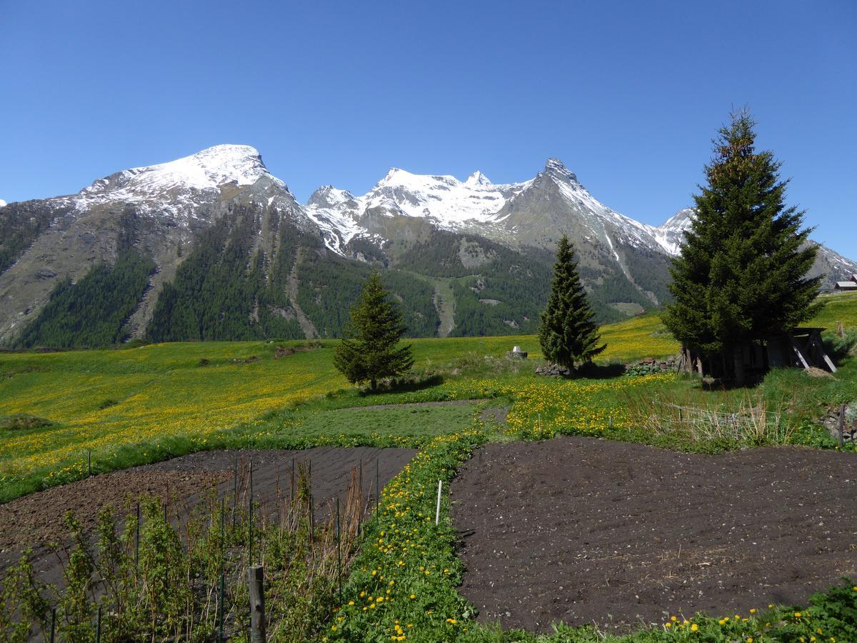 Hotel Locanda Grauson Cogne Kültér fotó